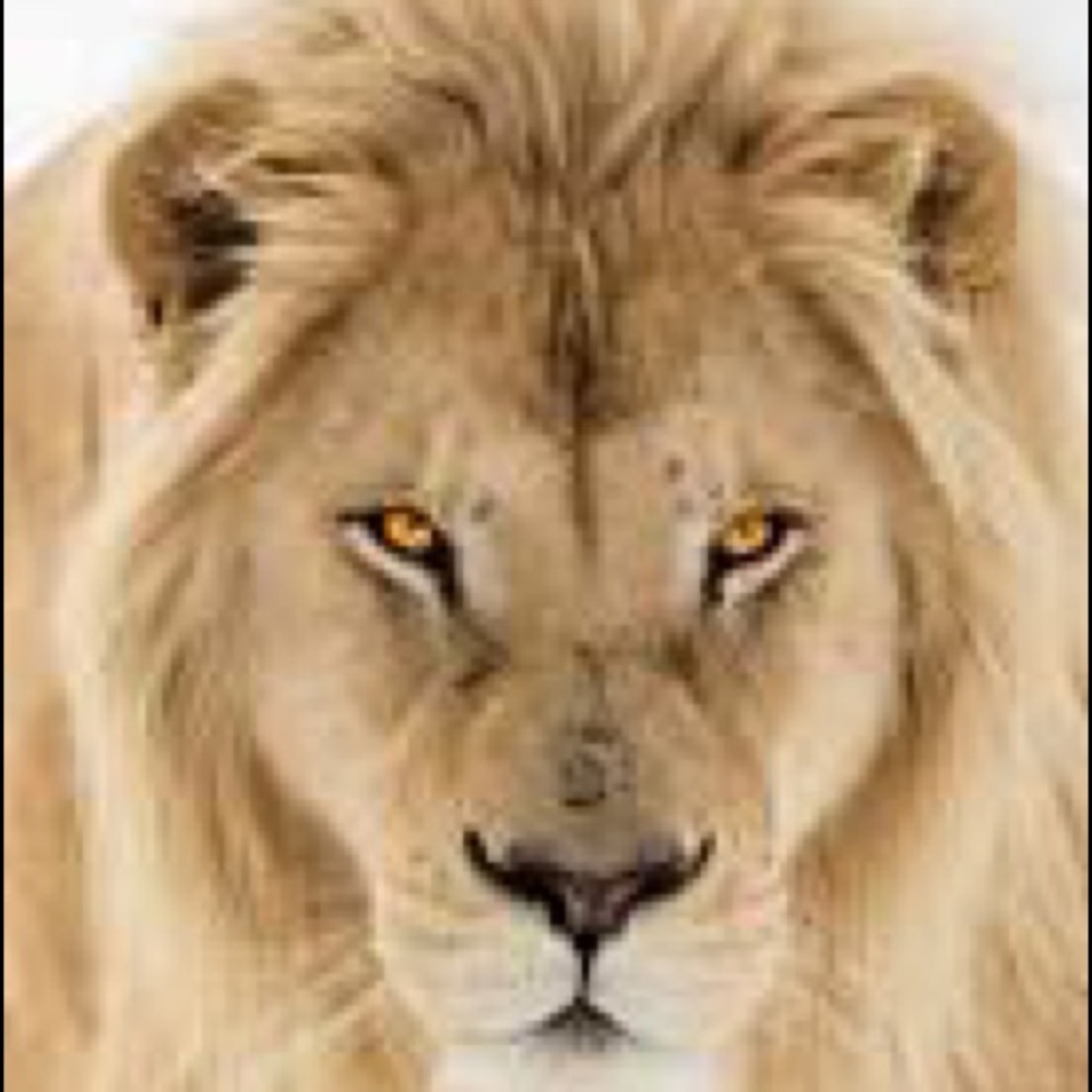 Meet your Posher, Faisal